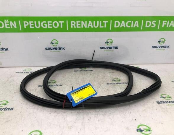 Door Seal PEUGEOT 2008 I (CU_)