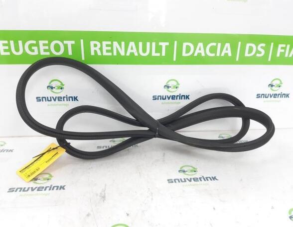 Deurafdichting RENAULT ARKANA I (LCM_, LDN_)