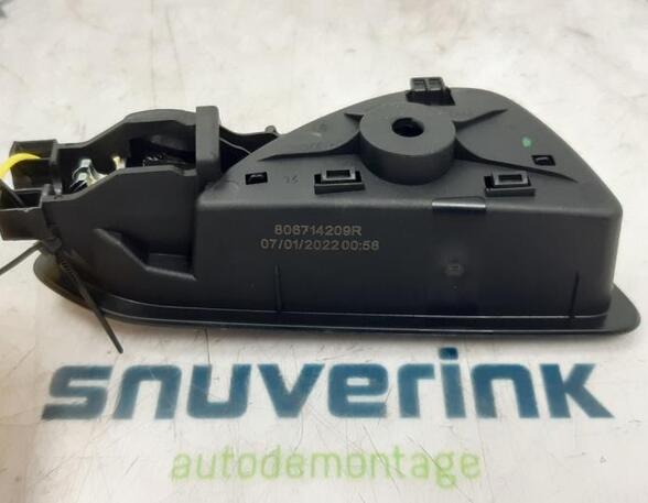 Door Handle RENAULT Clio V (BF), RENAULT Clio V (B7)