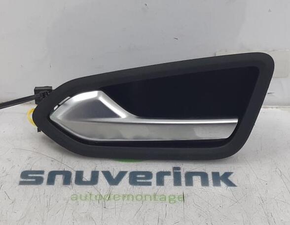 Door Handle RENAULT Clio V (BF), RENAULT Clio V (B7)