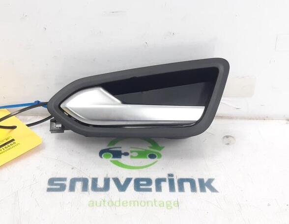 Door Handle RENAULT CLIO V (B7_)