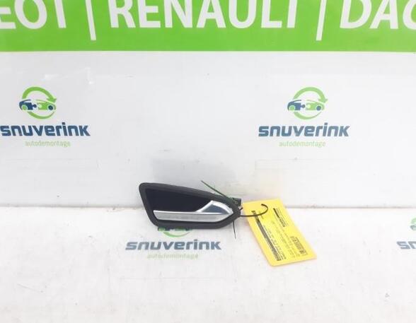 Door Handle RENAULT CLIO V (B7_)