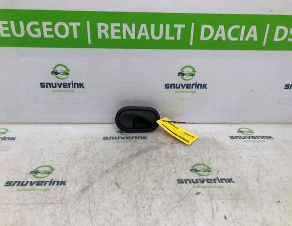 Door Handle RENAULT MASTER III Van (FV)