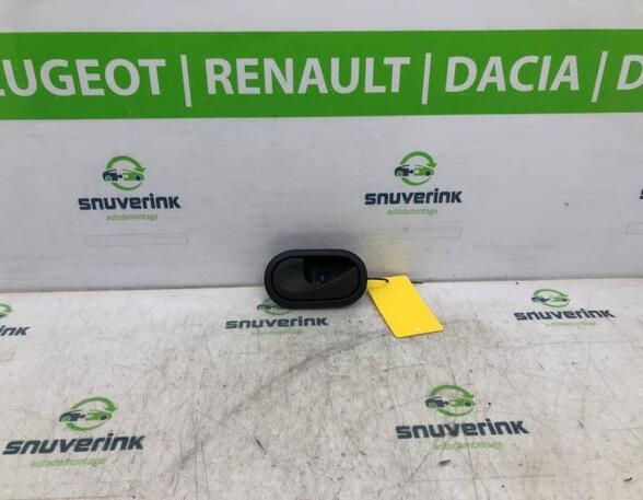 Door Handle RENAULT MASTER III Van (FV)