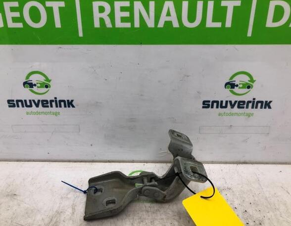 Door Hinge RENAULT Master III Kasten (FV)