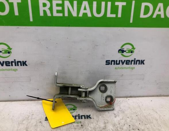 Door Hinge RENAULT Master III Kasten (FV)