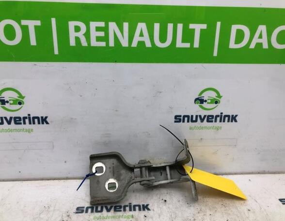 Door Hinge RENAULT Master III Kasten (FV)