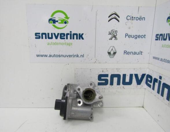 EGR Valve RENAULT Captur I (H5, J5), RENAULT Clio IV (BH)