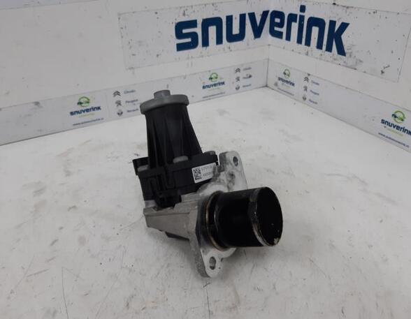 EGR Valve RENAULT Captur I (H5, J5), RENAULT Clio IV (BH)