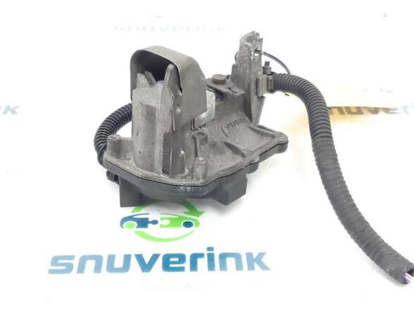 EGR Valve RENAULT Captur I (H5, J5), RENAULT Clio IV (BH)