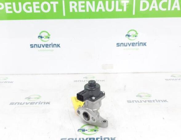 EGR Valve RENAULT ARKANA I (LCM_, LDN_)