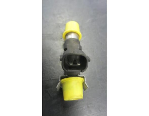 Injector Nozzle PEUGEOT 307 (3A/C)