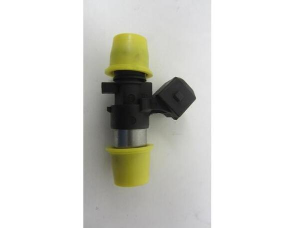 Injector Nozzle RENAULT KANGOO (KC0/1_)