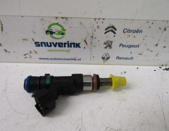 Injector Nozzle RENAULT Captur I (H5, J5), RENAULT Clio IV (BH)