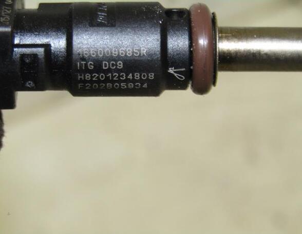 Injector Nozzle RENAULT Twingo III (BCM)