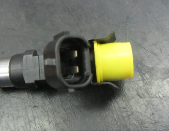 Injector Nozzle RENAULT Captur I (H5, J5), RENAULT Clio IV (BH)