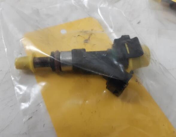 Injector Nozzle RENAULT Captur I (H5, J5), RENAULT Clio IV (BH)