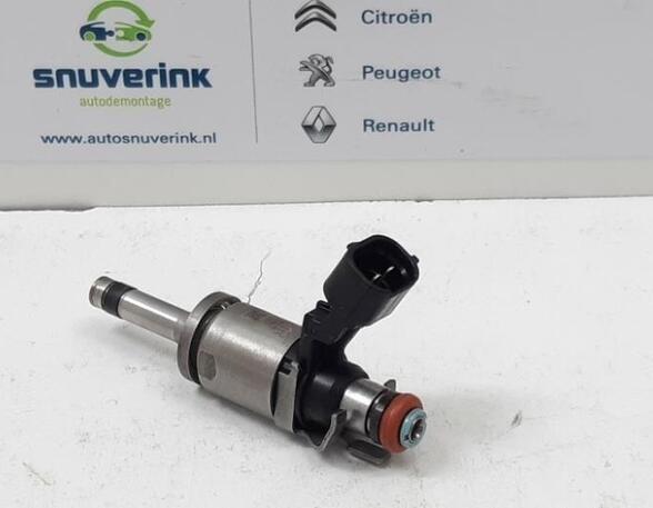 Injector Nozzle RENAULT Captur I (H5, J5), RENAULT Clio IV (BH)