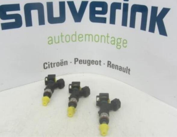 Injector Nozzle RENAULT Captur I (H5, J5), RENAULT Clio IV (BH)