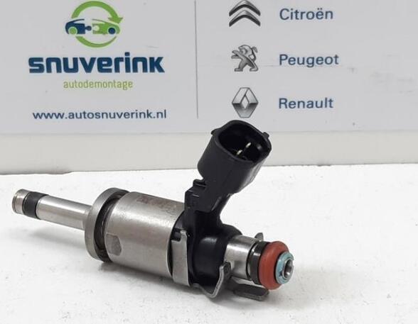 Injector Nozzle RENAULT Captur I (H5, J5), RENAULT Clio IV (BH)