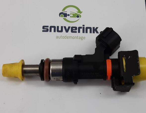 Injector Nozzle RENAULT Captur I (H5, J5), RENAULT Clio IV (BH)