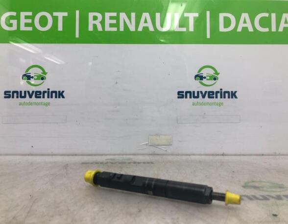 Injector Nozzle RENAULT Twingo II (CN0)