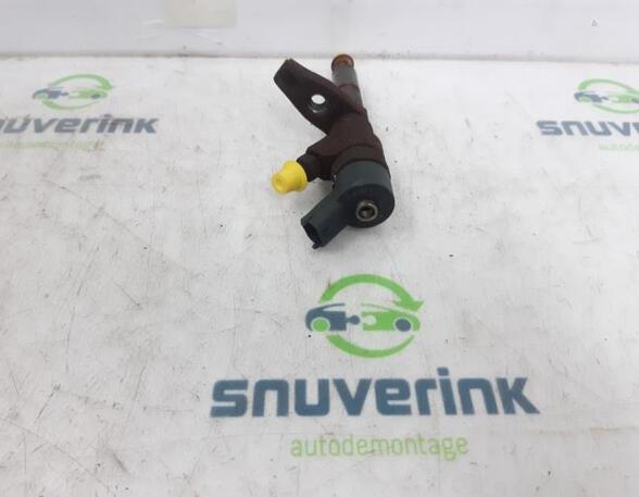 Injector Nozzle PEUGEOT 406 (8B)