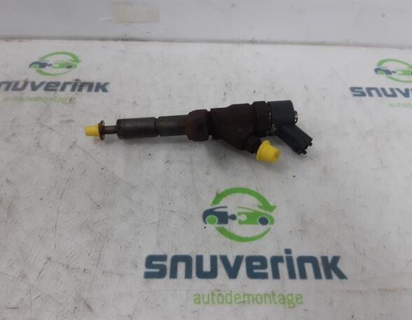 Injector Nozzle PEUGEOT 406 (8B)