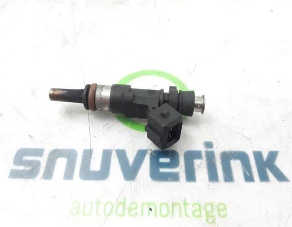 Injector Nozzle RENAULT SCÉNIC III (JZ0/1_), RENAULT GRAND SCÉNIC III (JZ0/1_)