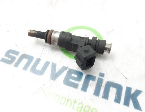 Injector Nozzle RENAULT SCÉNIC III (JZ0/1_), RENAULT GRAND SCÉNIC III (JZ0/1_)