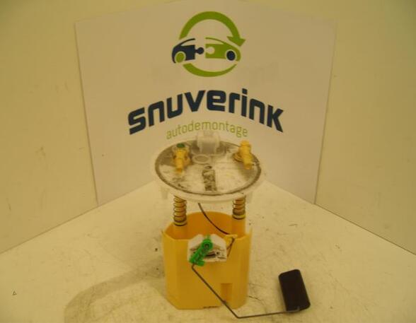 Fuel Pump RENAULT Twingo II (CN0)