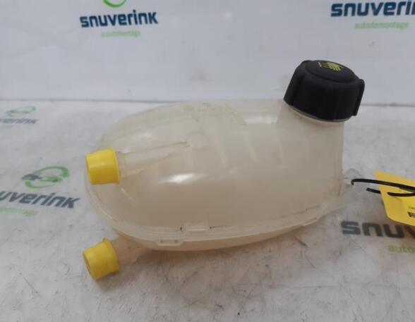 Coolant Expansion Tank RENAULT ARKANA I (LCM_, LDN_)