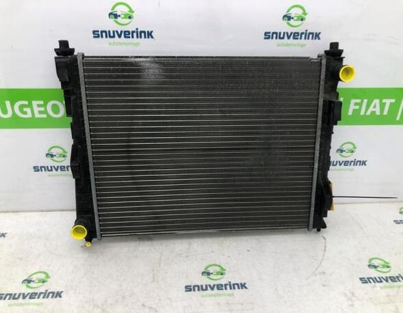 Radiateur RENAULT TWINGO II (CN0_)