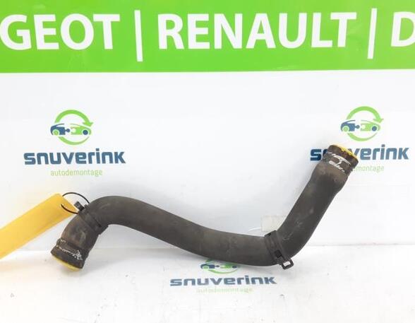 Radiator Hose RENAULT CLIO III (BR0/1, CR0/1), RENAULT CLIO IV (BH_)