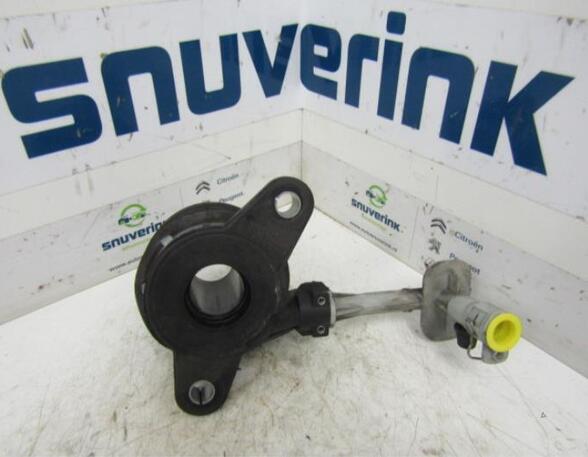 Clutch Master Cylinder RENAULT CLIO III (BR0/1, CR0/1)