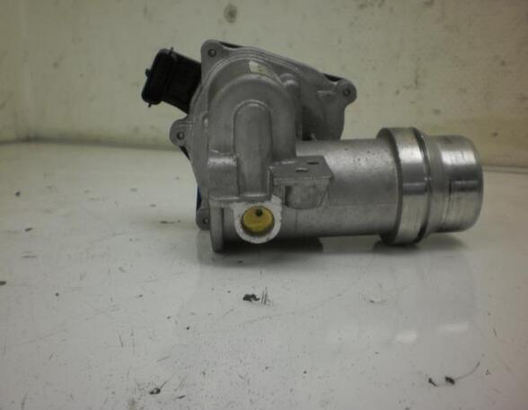 Throttle Body RENAULT TWINGO II (CN0_)