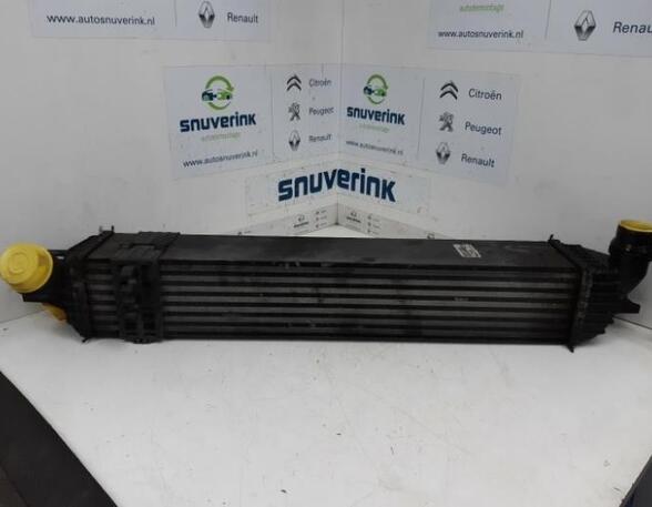 Intercooler RENAULT Laguna III Grandtour (KT0/1)