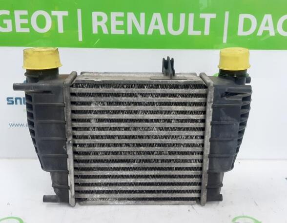 Ladeluftkühler Renault Clio III BR0/1, CR0/1 8200471884 P16639879