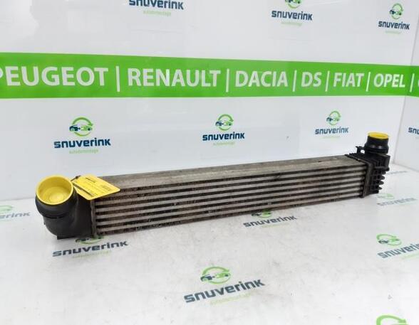 Ladeluftkühler Renault Scenic III JZ 144963639R P17021962