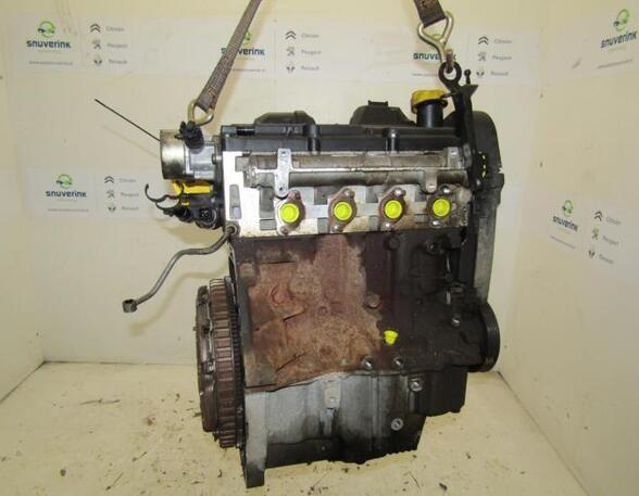 Motor kaal RENAULT Clio III (BR0/1, CR0/1)