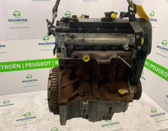 Bare Engine RENAULT Clio III (BR0/1, CR0/1)