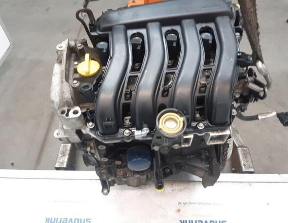 Motor kaal RENAULT Scénic III (JZ0/1), RENAULT Grand Scénic III (JZ0/1)