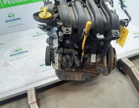 Motor kaal RENAULT Twingo II (CN0)