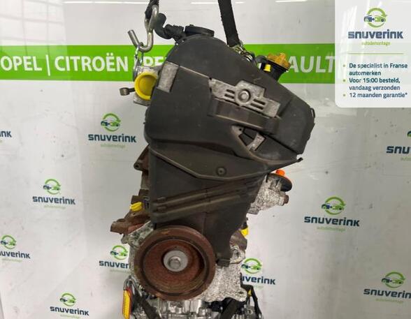 Motor kaal RENAULT TWINGO II (CN0_)