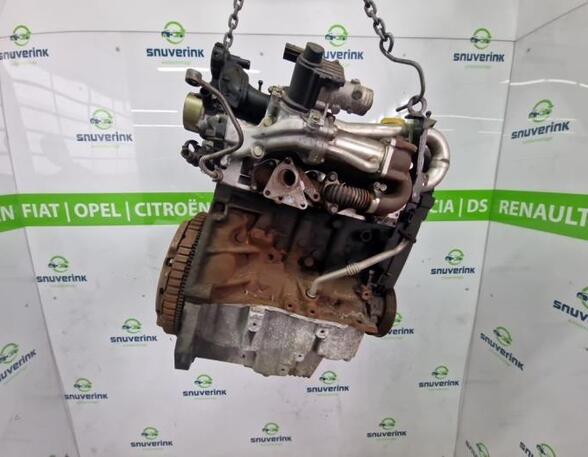 Motor kaal RENAULT CLIO III (BR0/1, CR0/1)