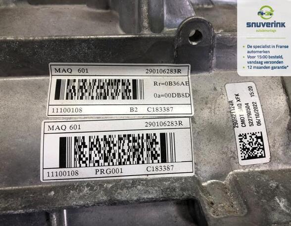 Motorblock Renault Zoe BFM 290103231R P20781838