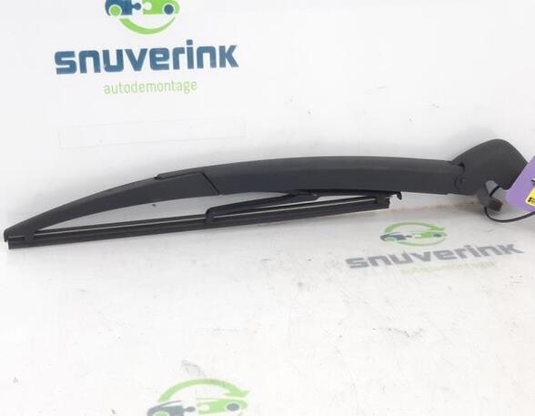 Wiper Arm FIAT 500 (312), FIAT 500 C (312), FIAT 500/595/695 (312), FIAT 500C/595C/695C (312)