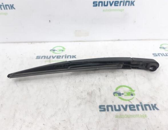 Wiper Arm RENAULT Twingo II (CN0)