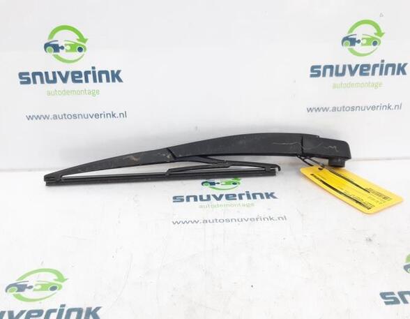 Wiper Arm RENAULT Twingo II (CN0)