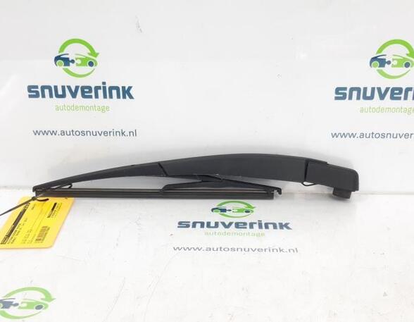 Wiper Arm RENAULT Twingo II (CN0)